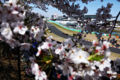 Gp Giappone 2026: Suzuka primo vero banco di prova del Mondiale